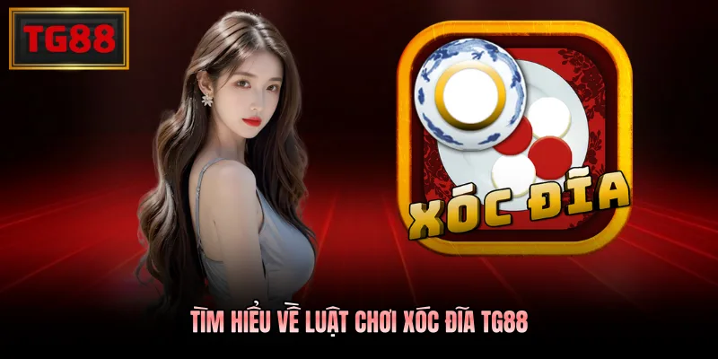 Tìm hiểu về luật chơi xóc đĩa TG88 Tìm hiểu về luật chơi xóc đĩa TG88